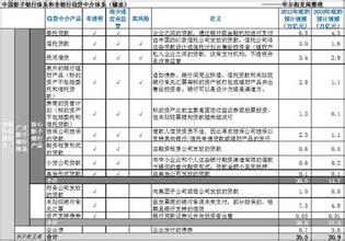  中国的影子银行 前言　我在中国影子银行的经历