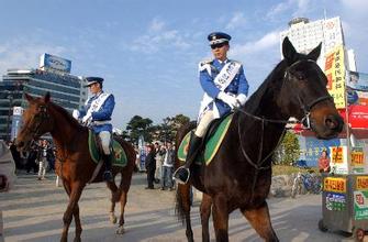  济南交警摩托车骑警队 从古代御马监看今日骑警队