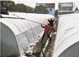  加固育苗大棚防雨雪 大棚除雪机的设计与研究