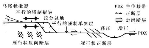  共生关系 构造长期共生关系