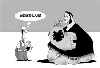  王小鲁：分配不公是多种难题的综合反应