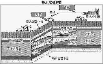  稠油热采 冷家油田稠油水驱油藏开发的实践与认识