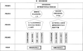  万科财务风险防范措施 财务风险的分析与防范措施