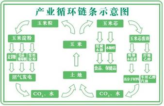  龙力生物：打造玉米全株产业链