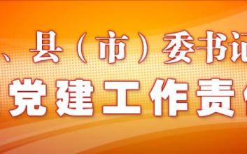  进一步夯实基层党建 夯实党建基础　推动基层党建工作创新