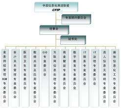  组织价值观 结盟的组织价值