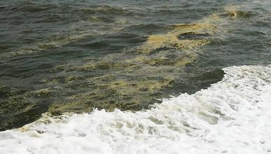  渤海湾海底隧道 渤海湾再现油污