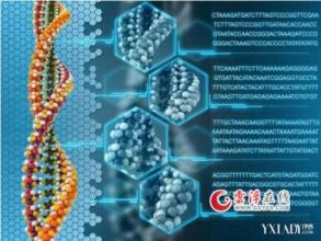  海尔全球化品牌战略 核心技术是全球化品牌的DNA