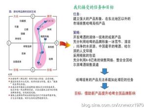  哈尔滨啤酒小麦王 品类致胜——哈尔滨啤酒全国品牌之路（之三）(