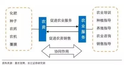  巴斯夫：六个一体化的管控策略