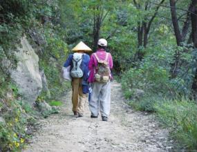  隐居到终南山的逃犯 他们到终南山里做什么