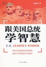  伟大社会 约翰逊的伟大社会建设