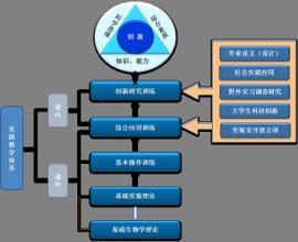  高校体育改革趋势 高校体育教育专业课程体系改革发展趋势研究