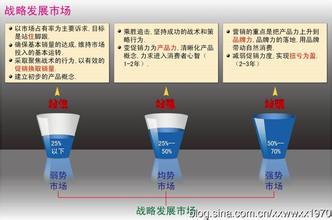  新产品进入市场策略 战略发展市场的进入策略