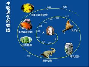  生命的起源和生物进化 生命的“进化”与“异化”