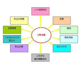  岗位分析报告 为什么要进行岗位分析？