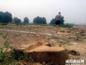  不必过分多说自己清楚 村庄消失，不必过分惋惜