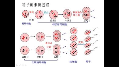  文科生物会考知识点 文科生物教学