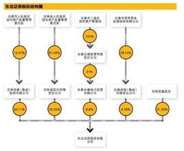  恢复元气 管理混乱积重难返　赛维元气待恢复