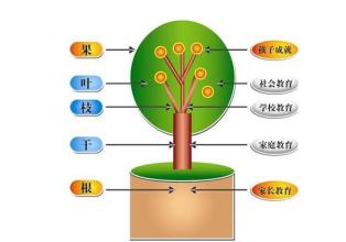  游刃有余是什么意思 正确待人接物，游刃有余——从心管理之正向心态