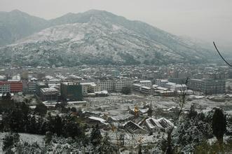  浙江省中专毕业证样本 强镇扩张的浙江样本