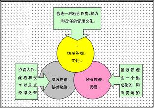  以绩效为导向 文化、战略导向和能力对新服务开发项目绩效的影响