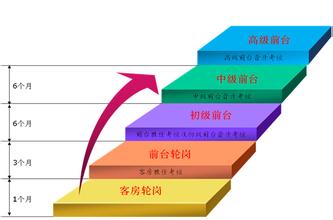  单身人群现状调查报告 2012酒店人轮岗现状调查报告