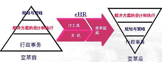  农资营销 某农资企业的营销组织变革历程