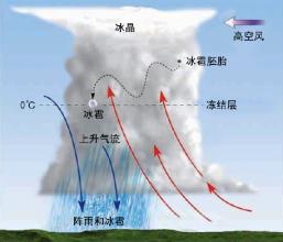  硫酸盐的形成之谜 偏好形成之谜