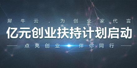  涂料营销方案 犀牛涂料年度营销计划成为摆设