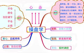  自然辩证法论文 执行力之辩证法