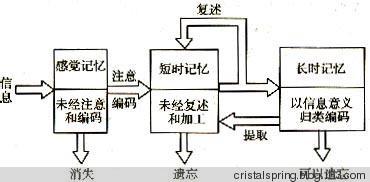  艾宾浩斯记忆遗忘曲线 品牌记忆与遗忘