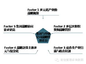  集团公司战略规划 集团公司战略与单体公司战略的比较