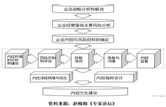  赵梅阳:集团财务管控