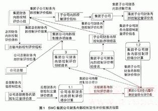  风险内控咨询服务 集团公司风险内控与专业委员会的运作