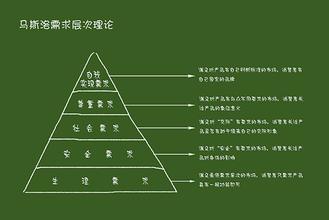  京东品牌层级 伯明登品牌层级论