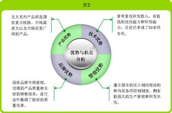  收购公司尽职调查 一个科技公司的收购尽职调查