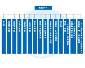  多元化集团公司 集团公司产业多元化挑战