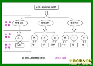  业务员管理 业务员的十大修炼之一时间管理