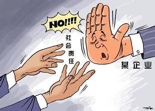  定心丸的意思 社会责任是民企的“定心丸”