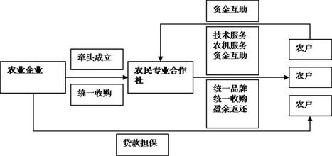  农产品电商 融资 农产品企业如何成功实现海内外融资？