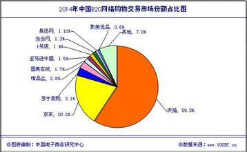  国美苏宁电商路线分化：是否加入电商平台