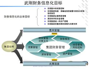  财务管控（十七）：分子公司，费用如何控制