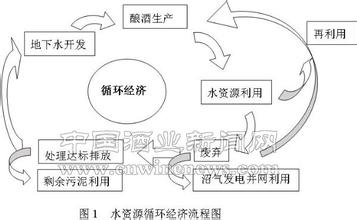  企业收入的可持续性 白酒企业可持续性跨越式发展路线图