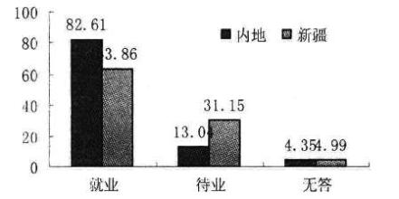  新疆大学生村官 新疆民汉大学生就业差异比较分析