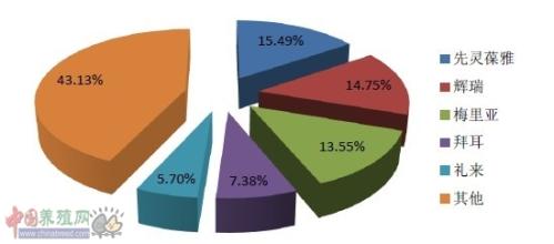  如何写市场调查报告 如何去调查市场需要率？