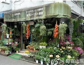  在长沙开花店投资多少 怎样投资万元开一家普通花店？