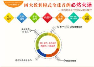  关键成功要素分析法 浅谈网上超市的主要成功要素