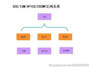  采访成功人士实践报告 供应链专业人士SCOR最佳实践