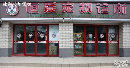  开宠物店创业计划书 上海创业,开个宠物店怎么样?